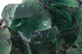 Green and Purple Cubic Fluorite Cluster - Okorusu Mine #341572-1